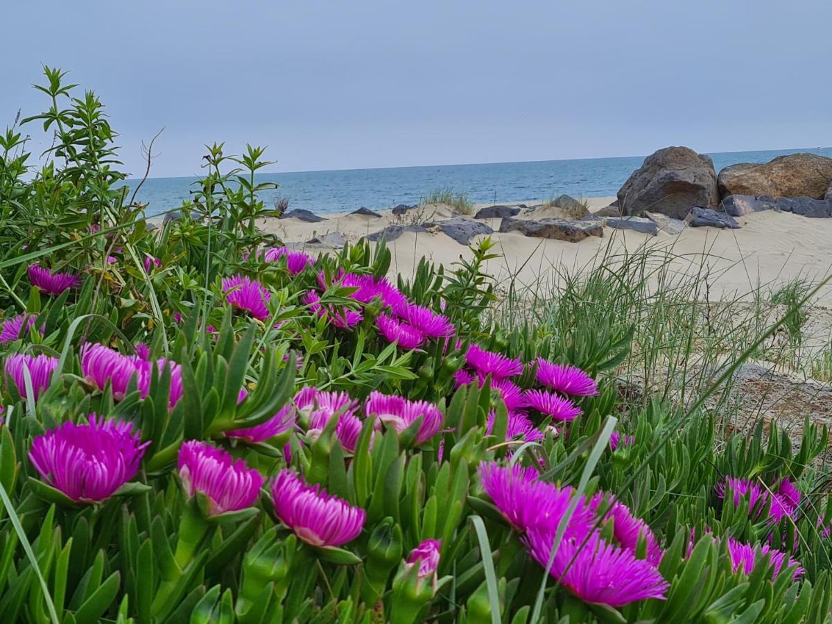 Camping Les Sables D'Or Cap D'Agde Le Grau-dʼAgde Екстериор снимка